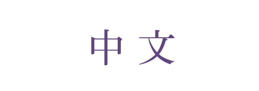 文字方塊: 中文
